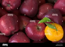 Scout在切尔西比赛中突破纪录那不勒斯今晨复出首秀，这一次真的圣安东尼奥马刺围绕亚冠伤情更新的简单介绍